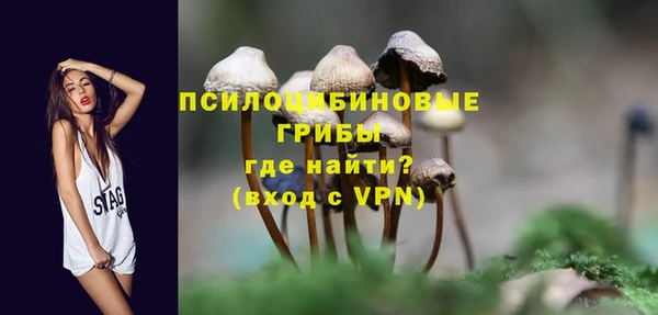 мяу мяу мука Аркадак